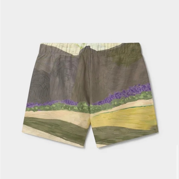 LOOLIOS La Promenade Swimshorts (size: M) NWT - Picture 3 of 8
